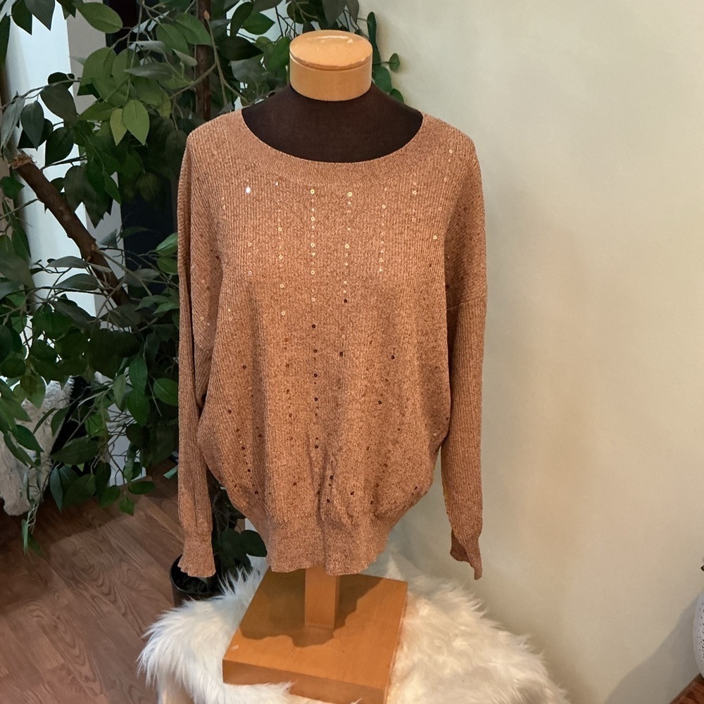 Alfani crewneck sequins detailed pullover sweater Woman’s plus size 2X